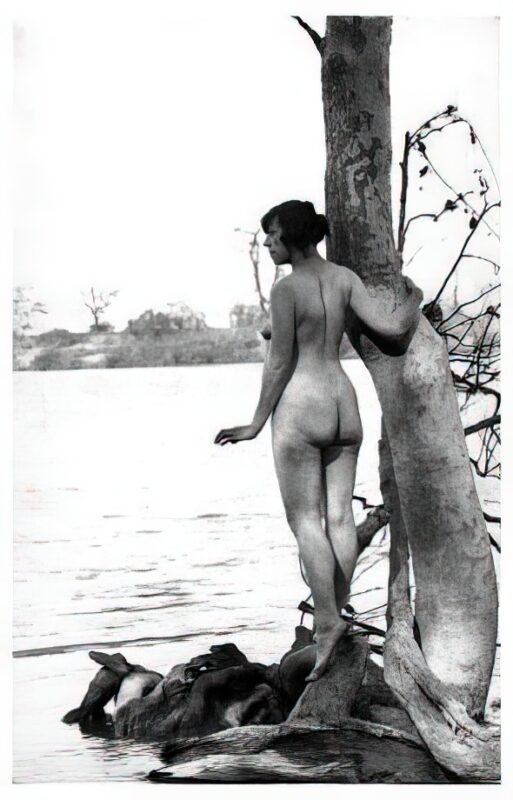 Photo - 020 of Vintage Nude Girl Mixed, Upscaled - Volume 1