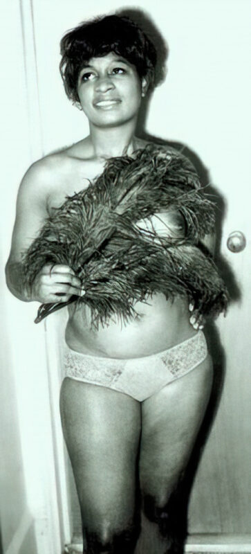 Vintage Nude Girl Mixed, Upscaled - Volume 2 - Photo 031