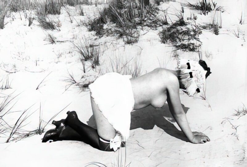 Vintage Nude Girl Mixed, Upscaled - Volume 2 - Photo 135