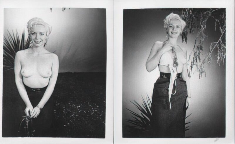 Photo 010 - Vintage Nude Girl Mixed, Upscaled - Volume 6