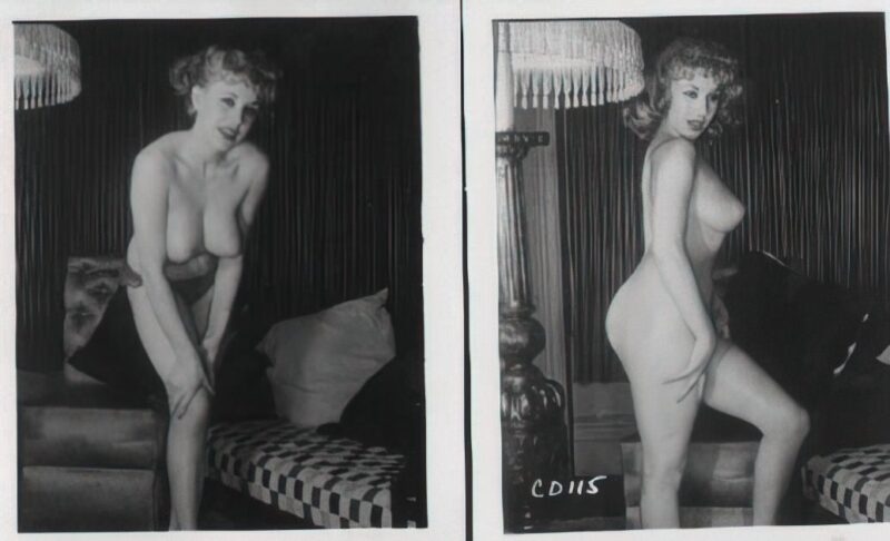 Photo 015 - Vintage Nude Girl Mixed, Upscaled - Volume 6