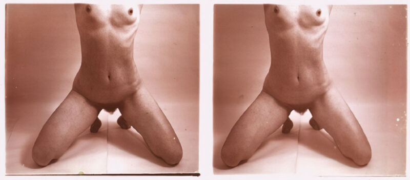 Photo 142 - Stereoscopic (3D) Views of Vintage Nude Men and Women from the 1800s to the 1920s Photo 142 - Stereoscopic (3D) Views of Vintage Nude Men and Women from the 1800s to the 1920s