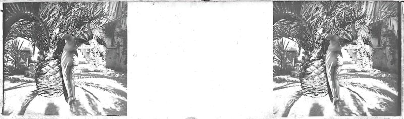 Photo 157 - Stereoscopic (3D) Views of Vintage Nude Men and Women from the 1800s to the 1920s Photo 157 - Stereoscopic (3D) Views of Vintage Nude Men and Women from the 1800s to the 1920s