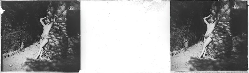 Photo 158 - Stereoscopic (3D) Views of Vintage Nude Men and Women from the 1800s to the 1920s Photo 158 - Stereoscopic (3D) Views of Vintage Nude Men and Women from the 1800s to the 1920s