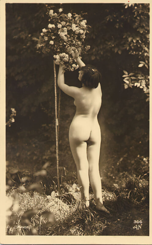 Volume 3 of Black and White Photo of Naked / Nude Women and Girls in the Vintage Era
