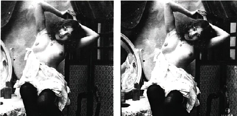 Photo: 101 - Stereoscopic (3D) Views of Vintage Nude Men and Women from the 1800s to the 1920s Photo: 101 - Stereoscopic (3D) Views of Vintage Nude Men and Women from the 1800s to the 1920s