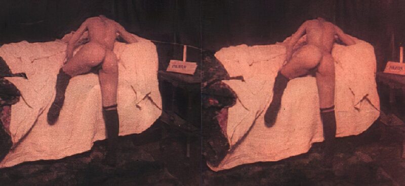 Photo: 108 - Stereoscopic (3D) Views of Vintage Nude Men and Women from the 1800s to the 1920s Photo: 108 - Stereoscopic (3D) Views of Vintage Nude Men and Women from the 1800s to the 1920s