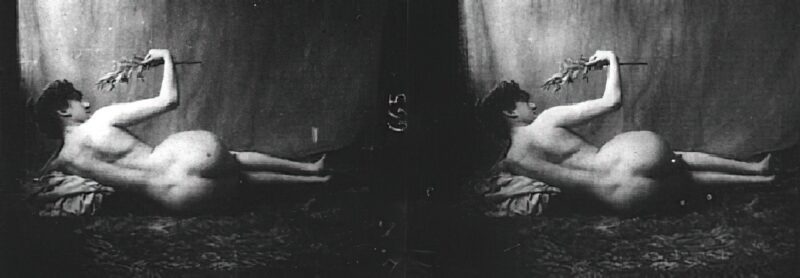 Photo: 113 - Stereoscopic (3D) Views of Vintage Nude Men and Women from the 1800s to the 1920s Photo: 113 - Stereoscopic (3D) Views of Vintage Nude Men and Women from the 1800s to the 1920s