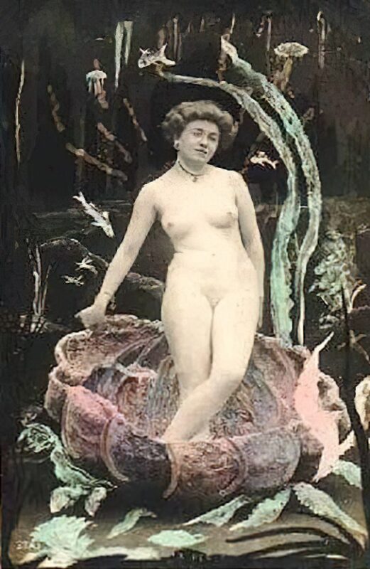 Retro Classic Erotica Color Tint Nude