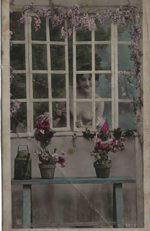 Retro Classic Erotica Color Tint Nude